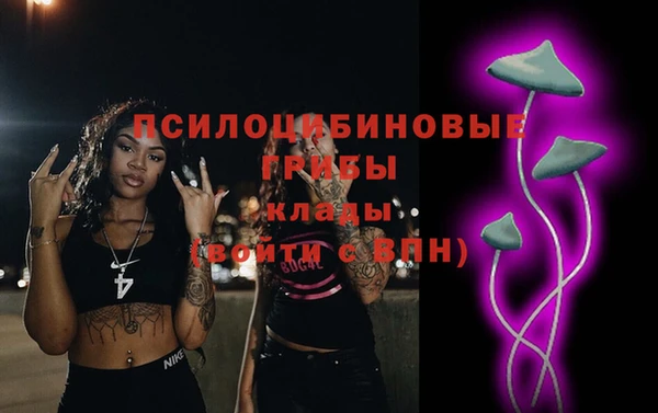 гидра Алзамай