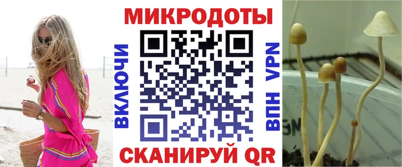 Галлюциногенные грибы Cubensis Югорск